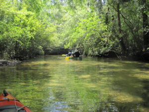 Blackwater Canoe Trip!